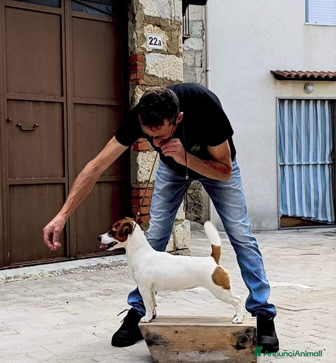 Immagine della galleria {{count}}