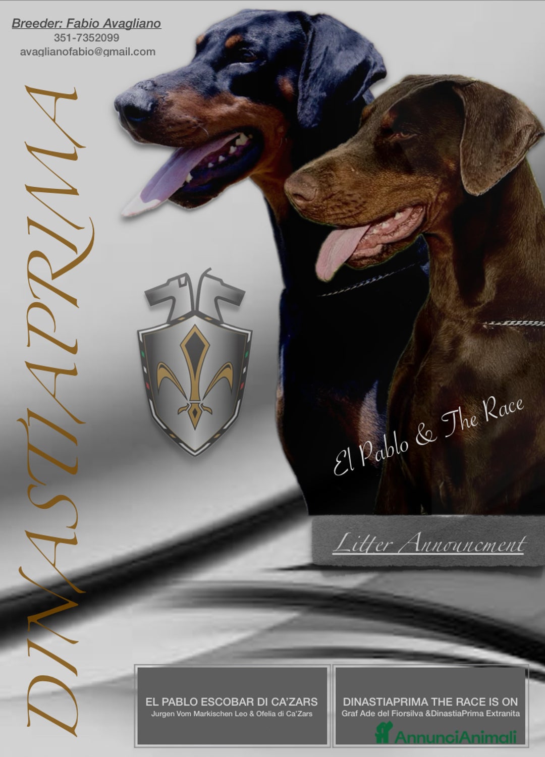 Dobermann cani in vendita: Cuccioli Dobermann - Annuncio 1