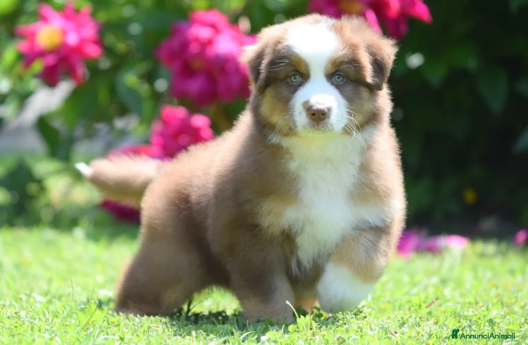 Immagine della galleria {{count}}