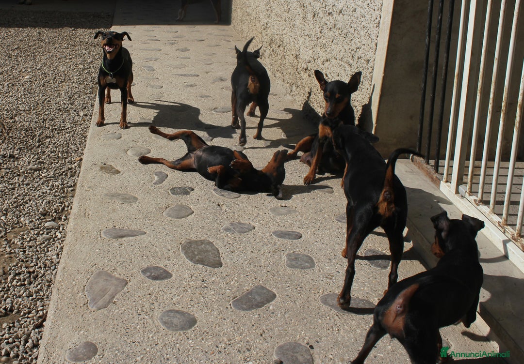 Immagine della galleria {{count}}