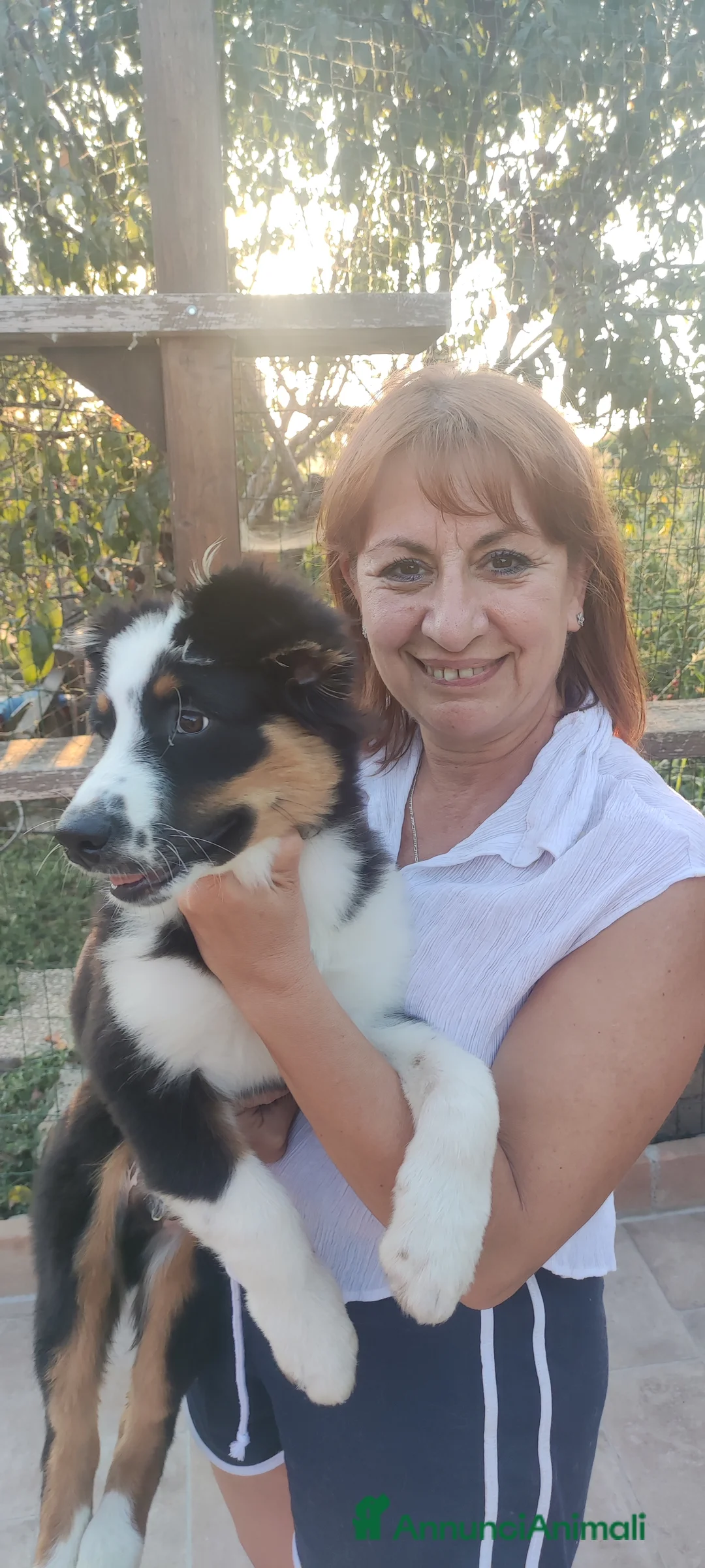 Immagine della galleria {{count}}