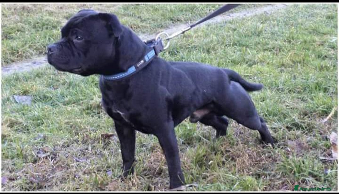 Immagine della galleria {{count}}