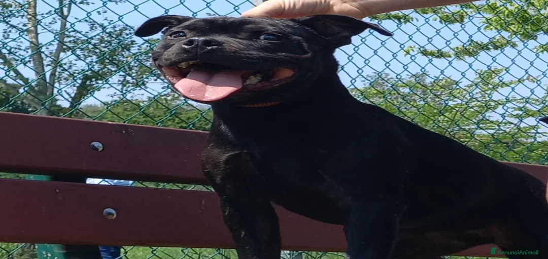 Immagine della galleria {{count}}