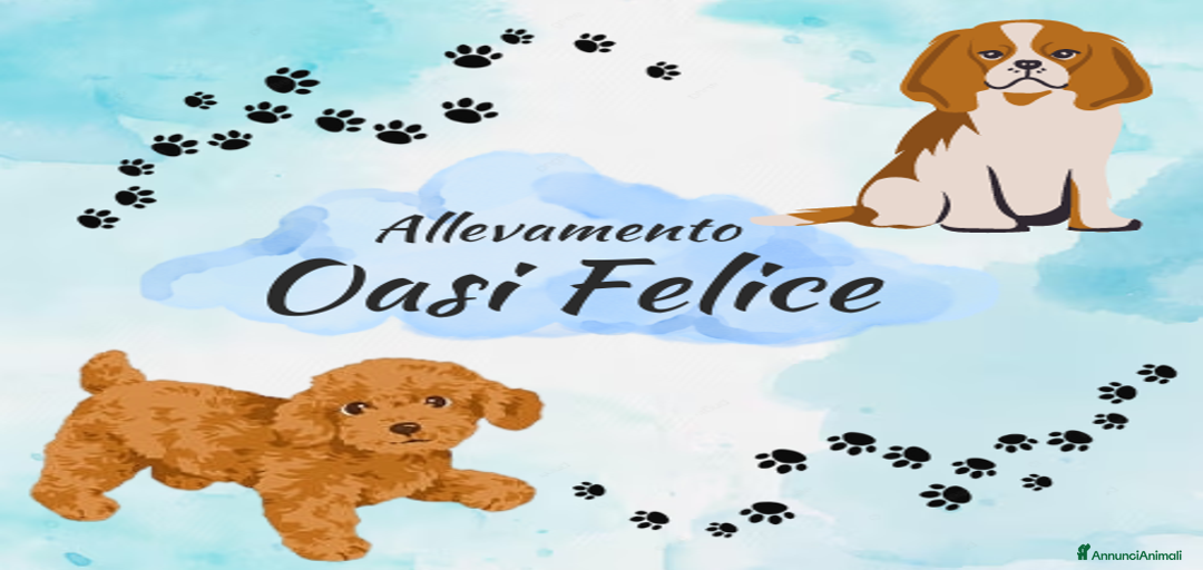 Immagine della galleria {{count}}