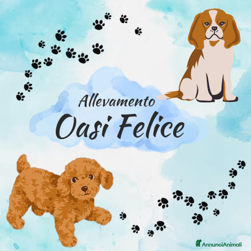 Immagine della galleria {{count}}