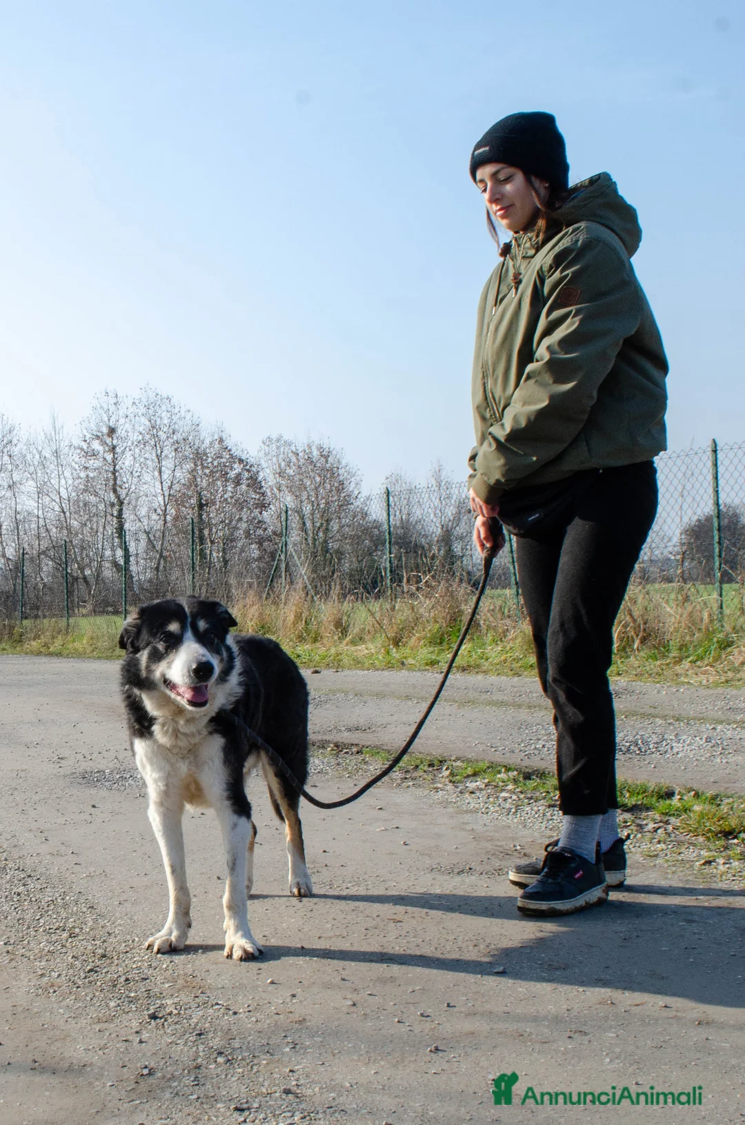 Altre razze cani in regalo: rocky adozione del cuore - Annuncio 4