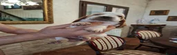 Bassethound cani in vendita: Meravigliosi Cuccioli di Bassethound  - Annuncio 7
