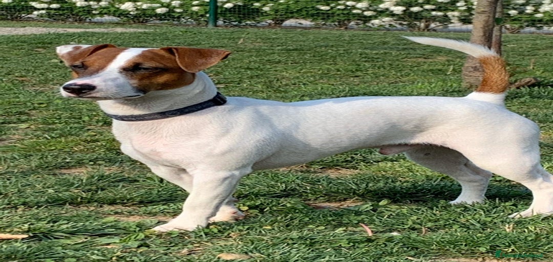 Immagine della galleria {{count}}