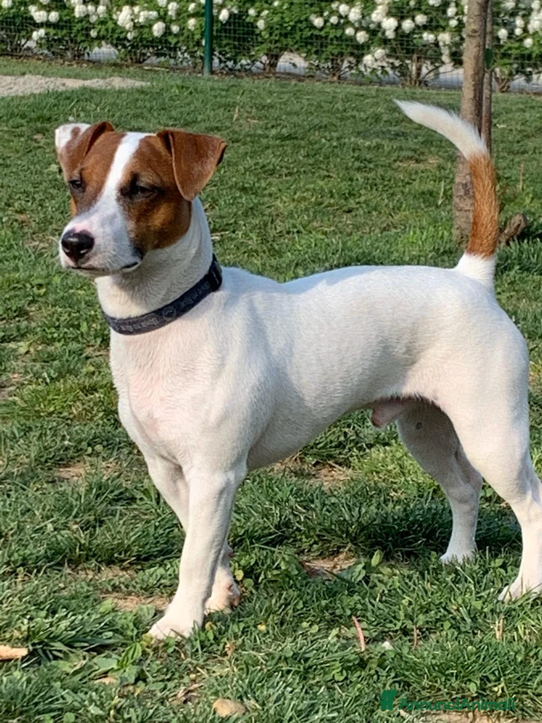 Immagine della galleria {{count}}