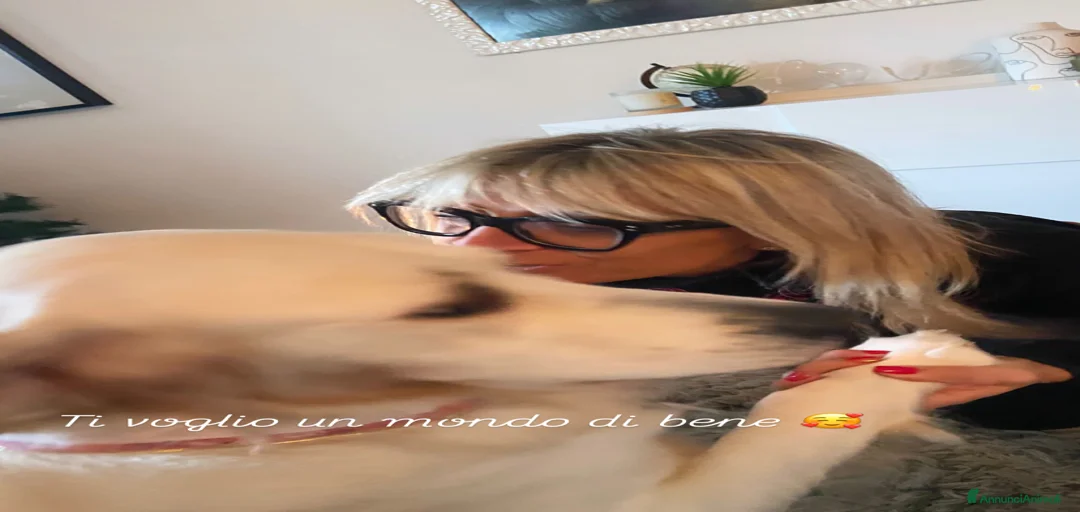 Immagine della galleria {{count}}