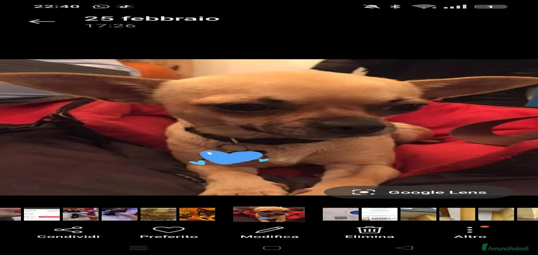 Immagine della galleria {{count}}