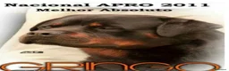 Rottweiler cani in vendita: Disponibili cuccioli Rottweiler  - Annuncio 34