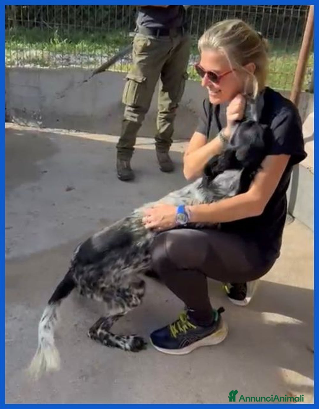 Setter Inglese cani in regalo: ZANZIBAR 2anni stupendo-adatto a tutti - Immagine 3