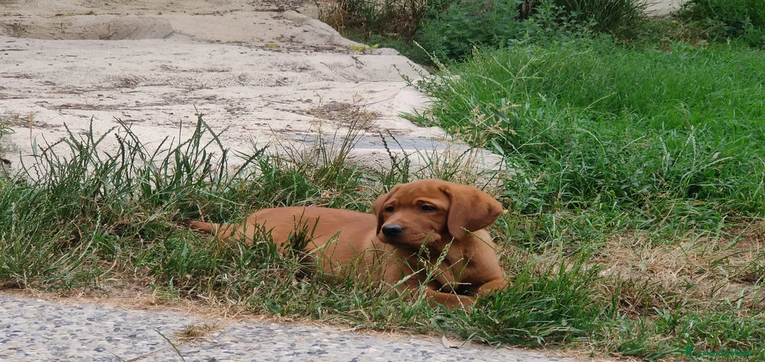 Immagine della galleria {{count}}