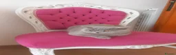 Scottish gatti in vendita: Cuccioli scottish fold e straight  - Annuncio 3