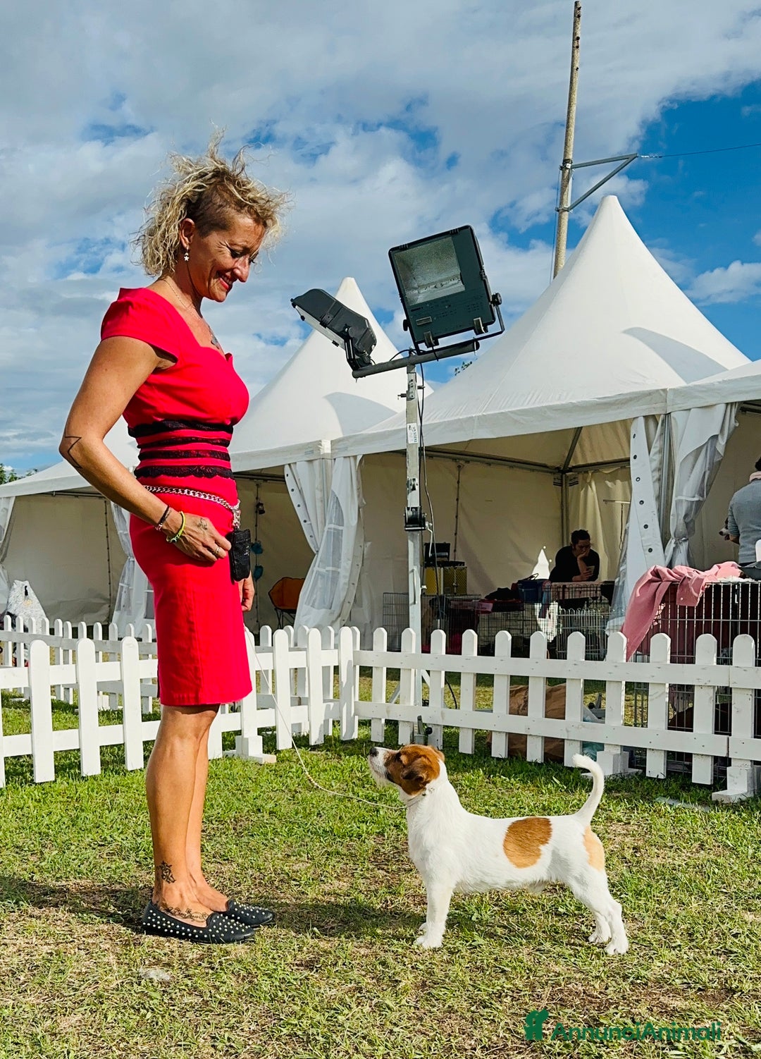 Immagine della galleria {{count}}