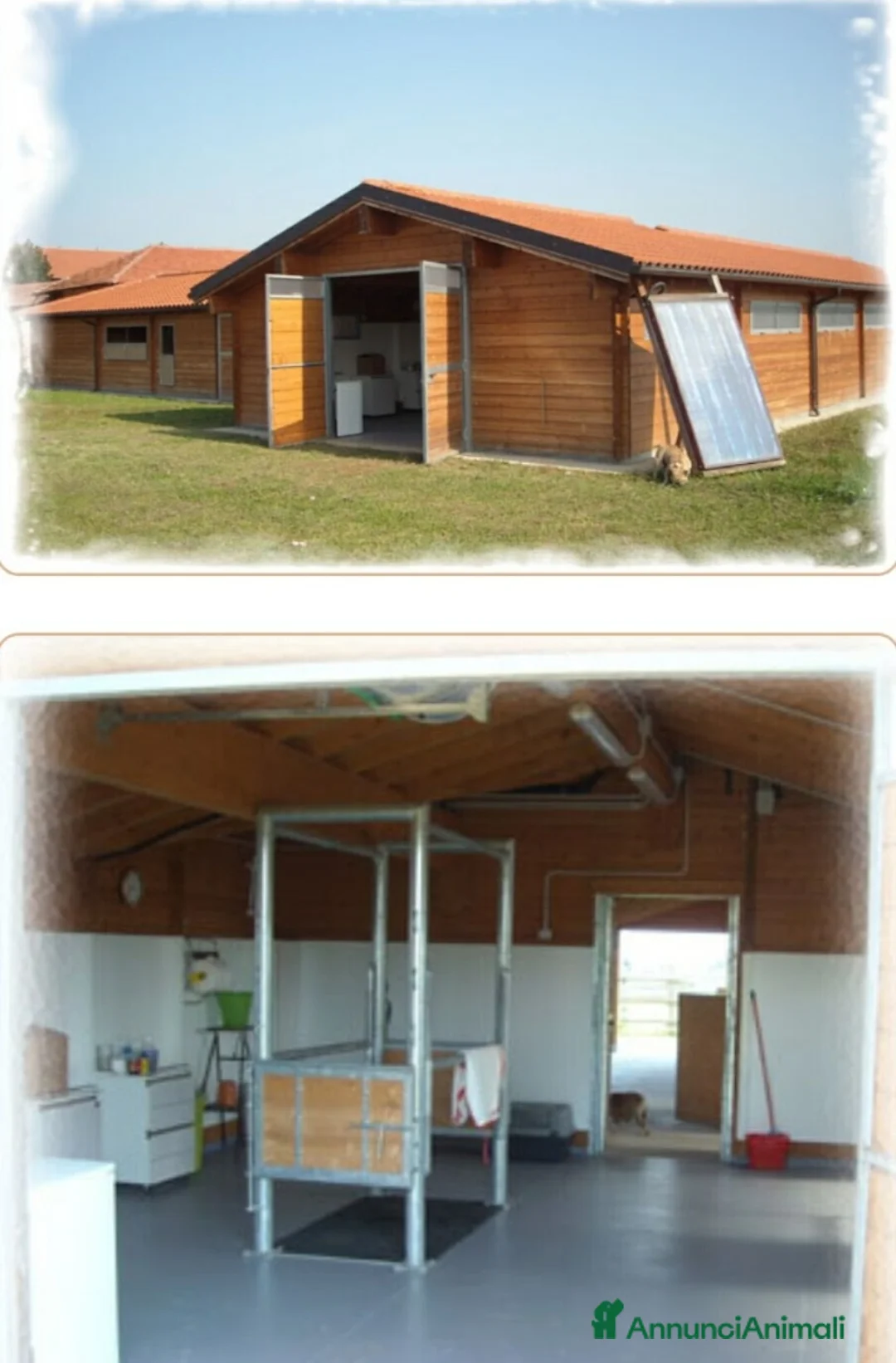 Immagine della galleria {{count}}