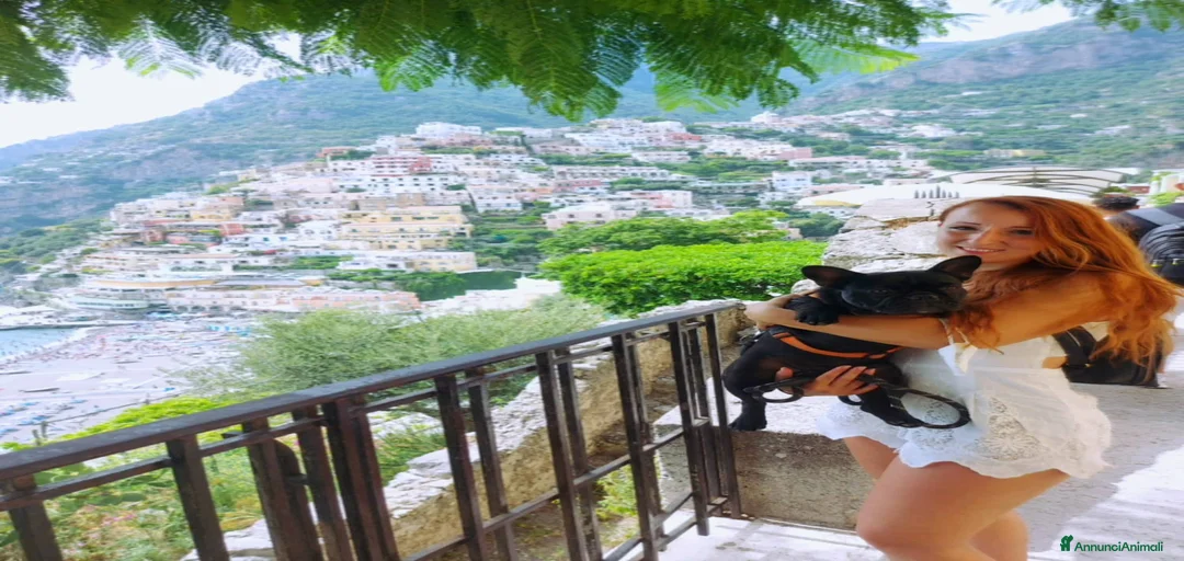 Immagine della galleria {{count}}