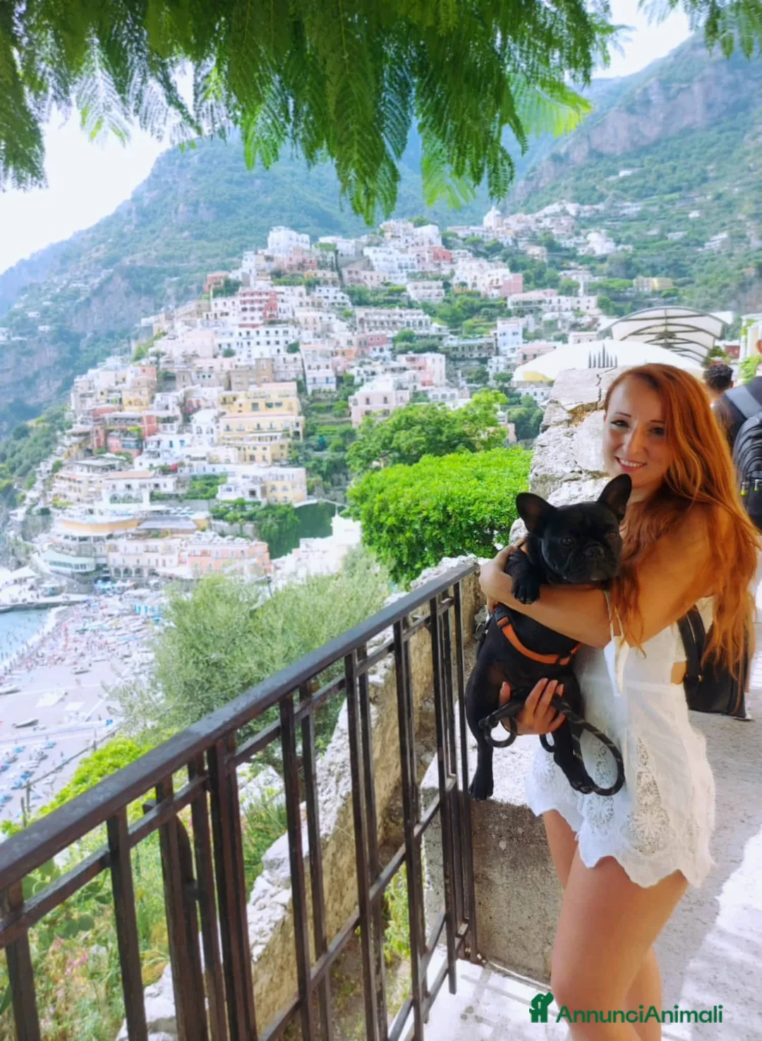 Immagine della galleria {{count}}