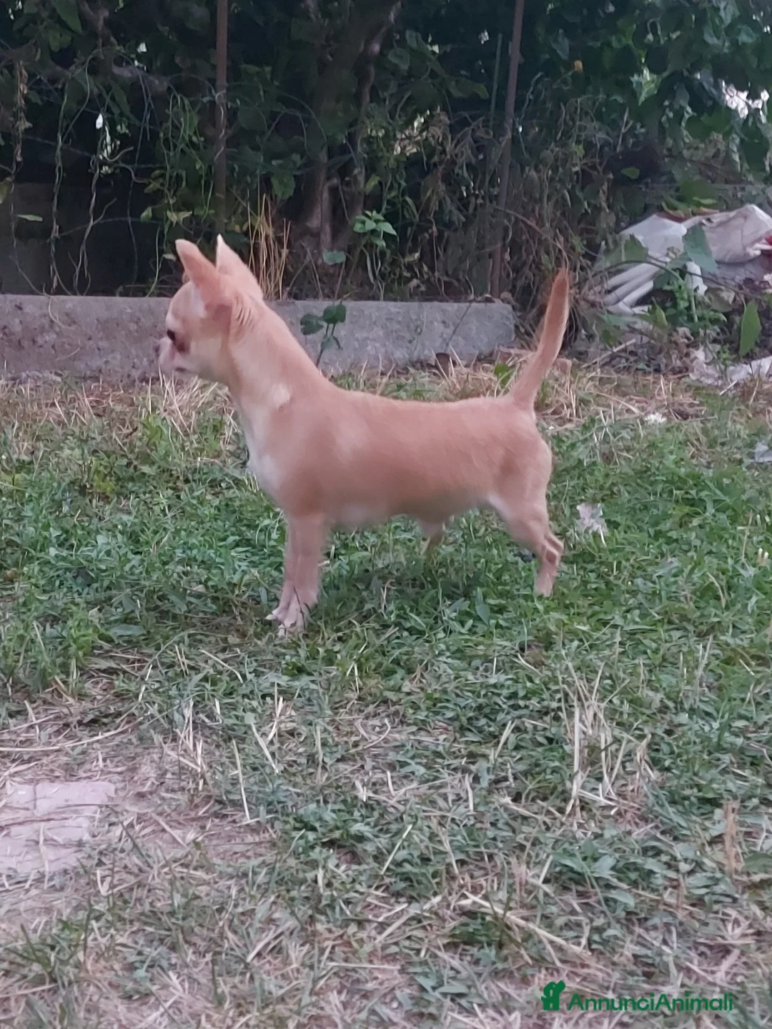 Immagine della galleria {{count}}