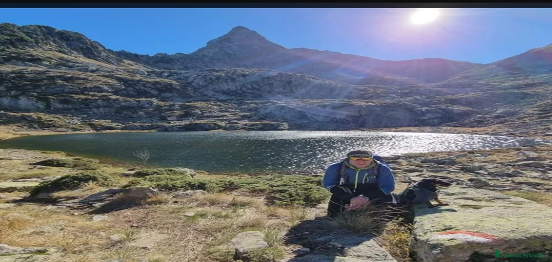 Immagine della galleria {{count}}