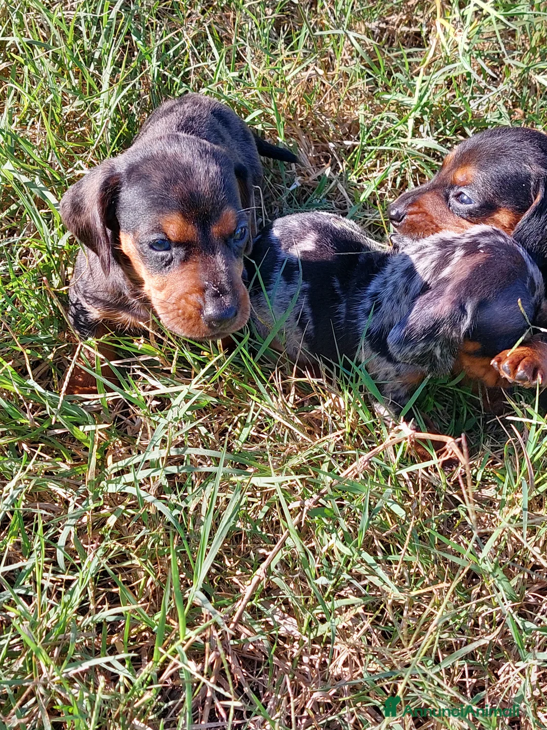 Immagine della galleria {{count}}