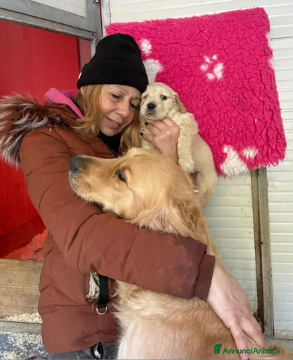 Immagine della galleria {{count}}