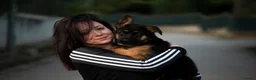 Pastore Tedesco cani in vendita: Allevamento di Terra Scura a Provincia di Salerno - Annuncio 4