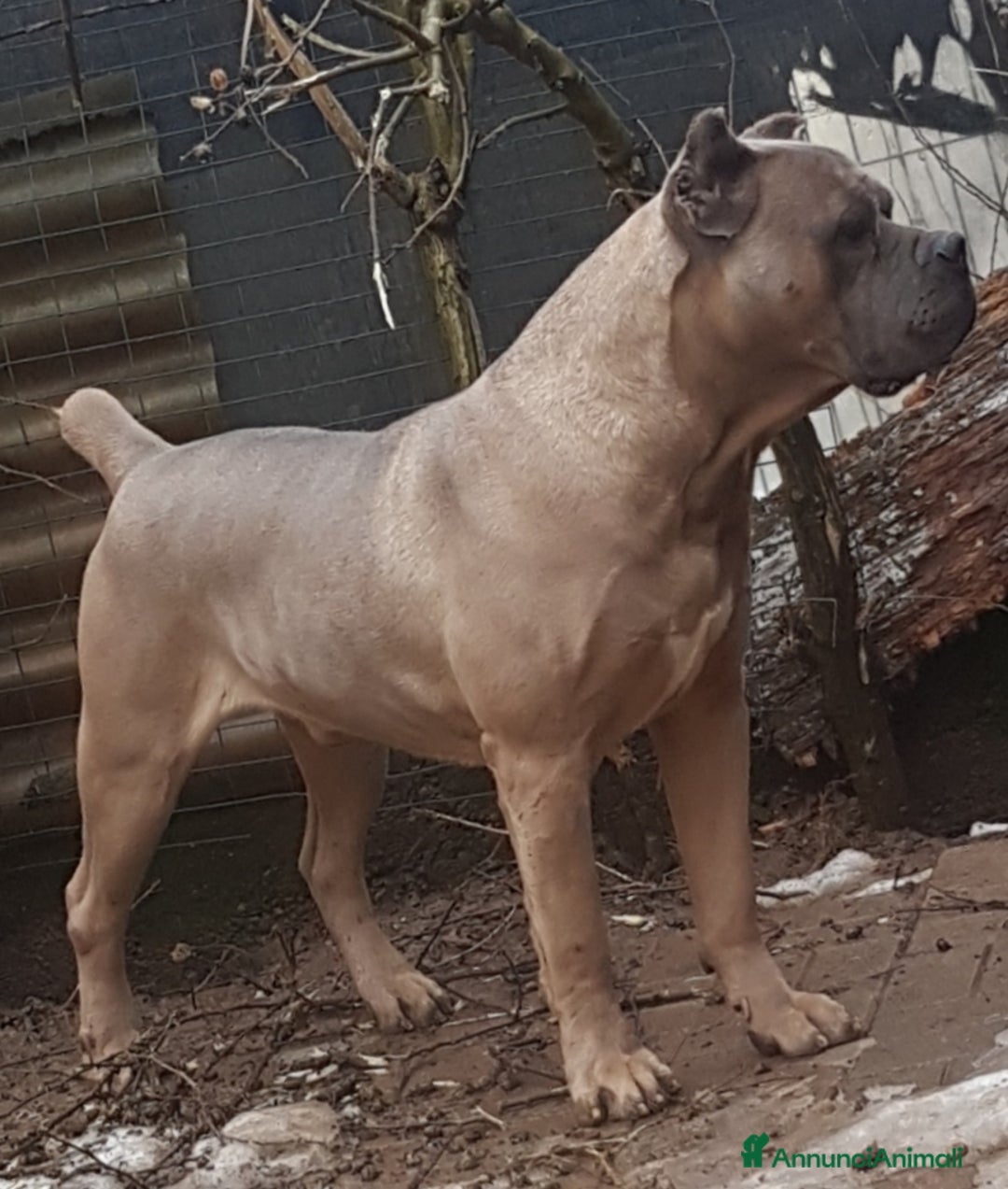 Immagine della galleria {{count}}