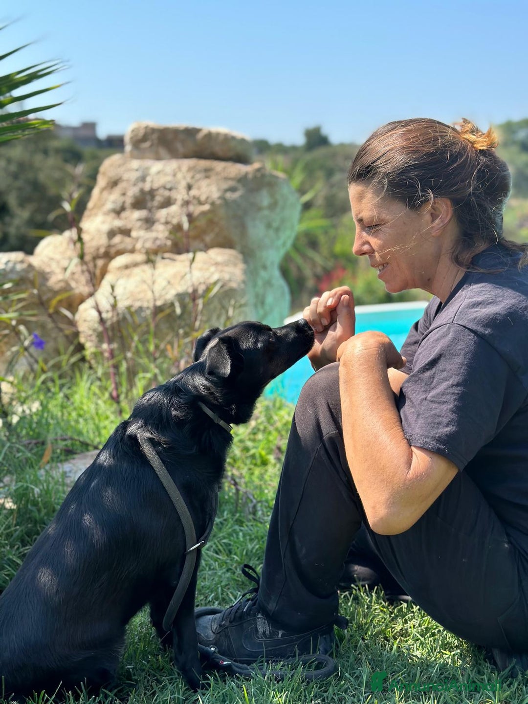 Meticcio cani in regalo: BART un canuccio piccino e tanto sfortunato a Pomezia - Annuncio 5