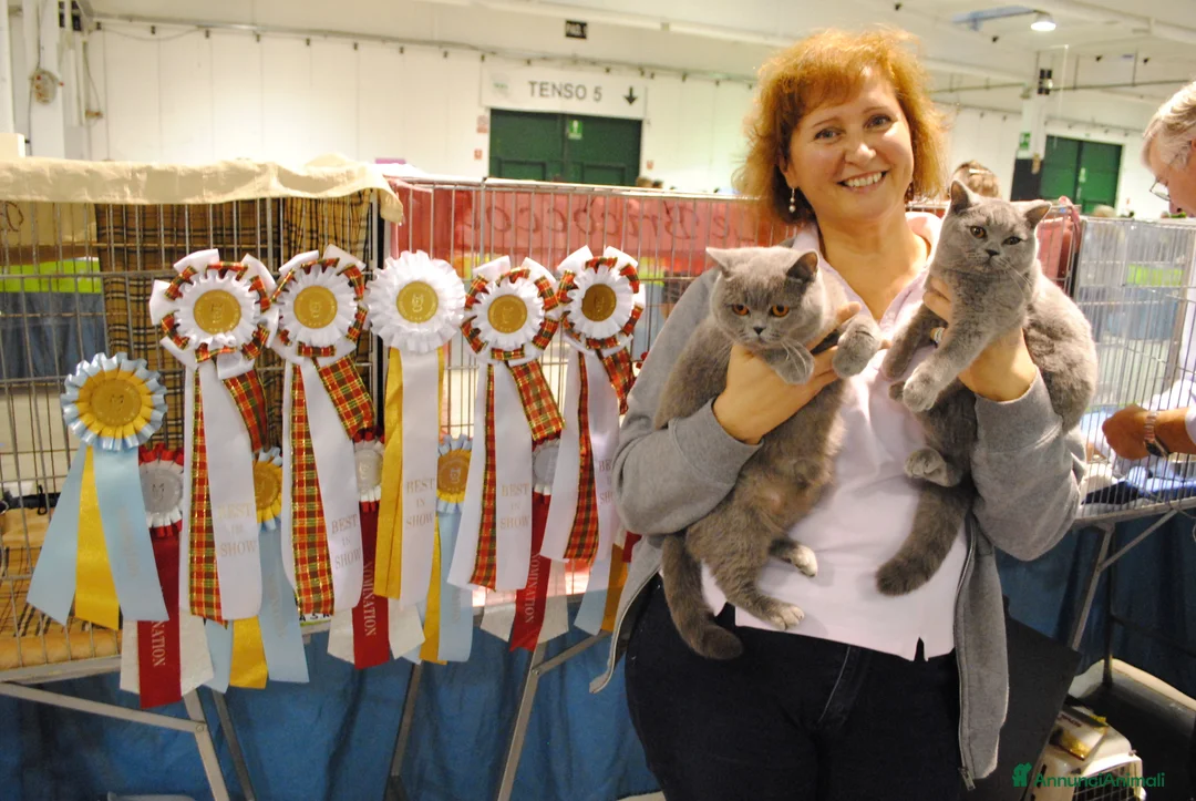 Immagine della galleria {{count}}