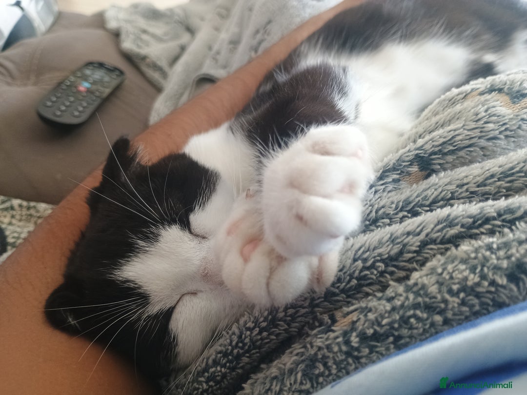 Immagine della galleria {{count}}