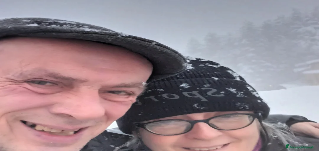 Immagine della galleria {{count}}