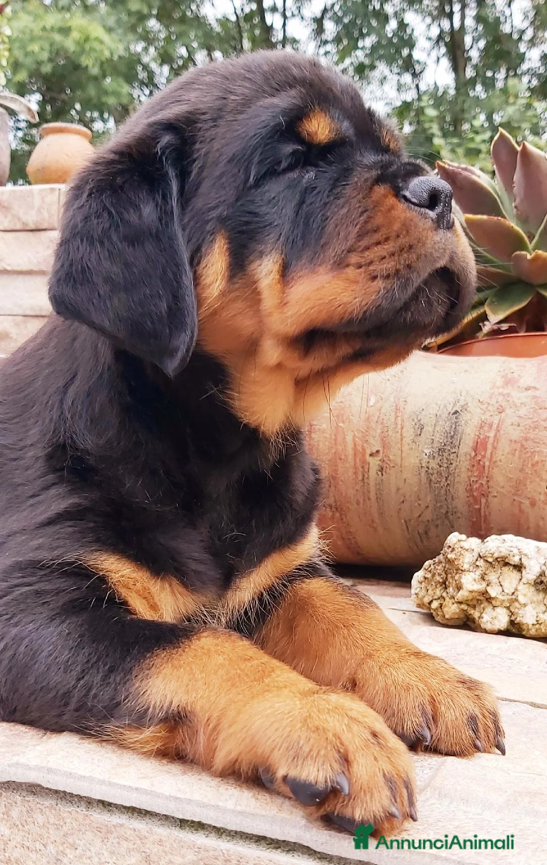 Immagine della galleria {{count}}