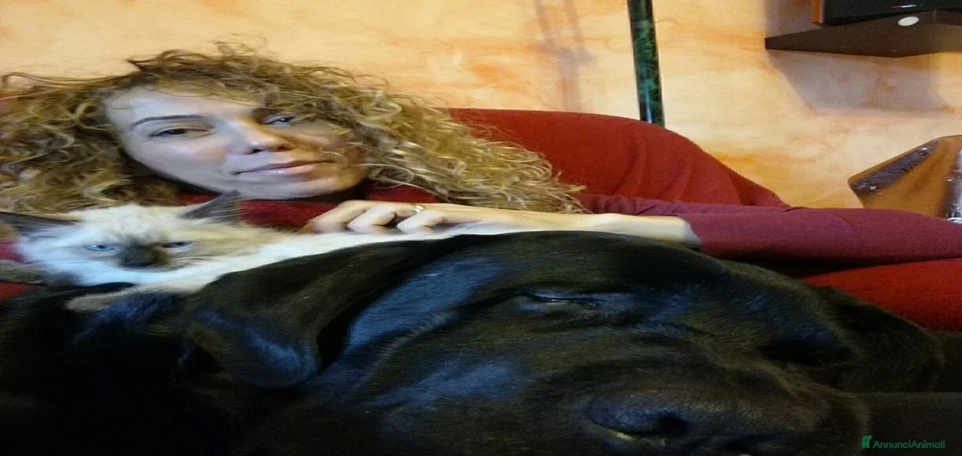 Immagine della galleria {{count}}