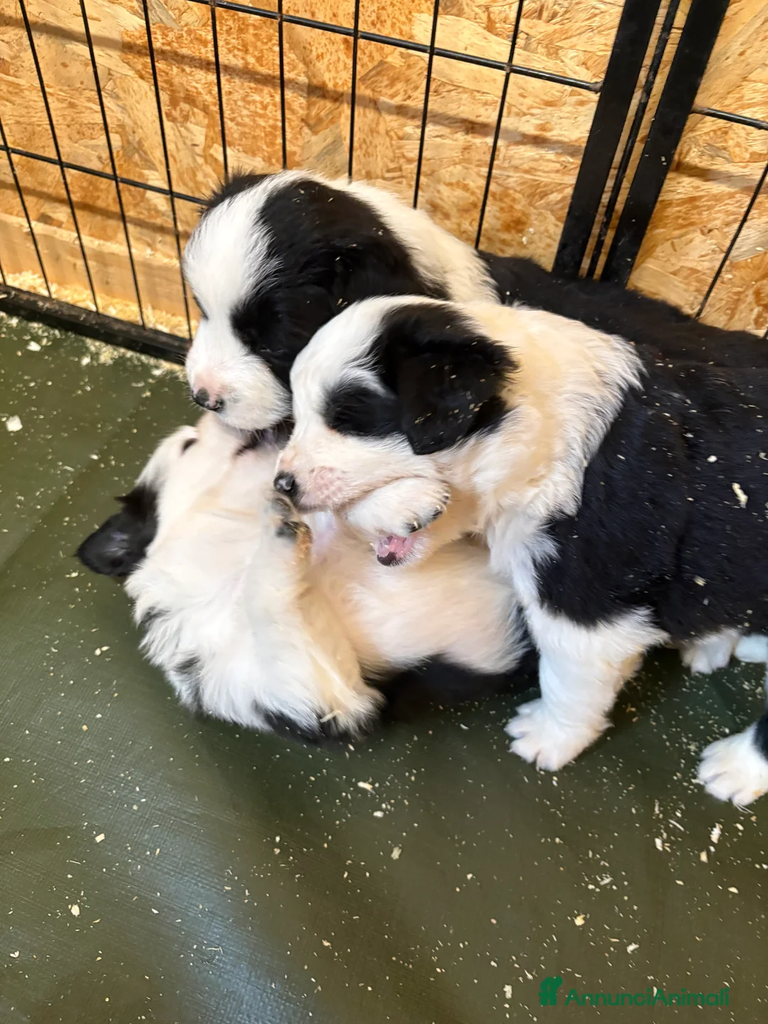 Immagine della galleria {{count}}