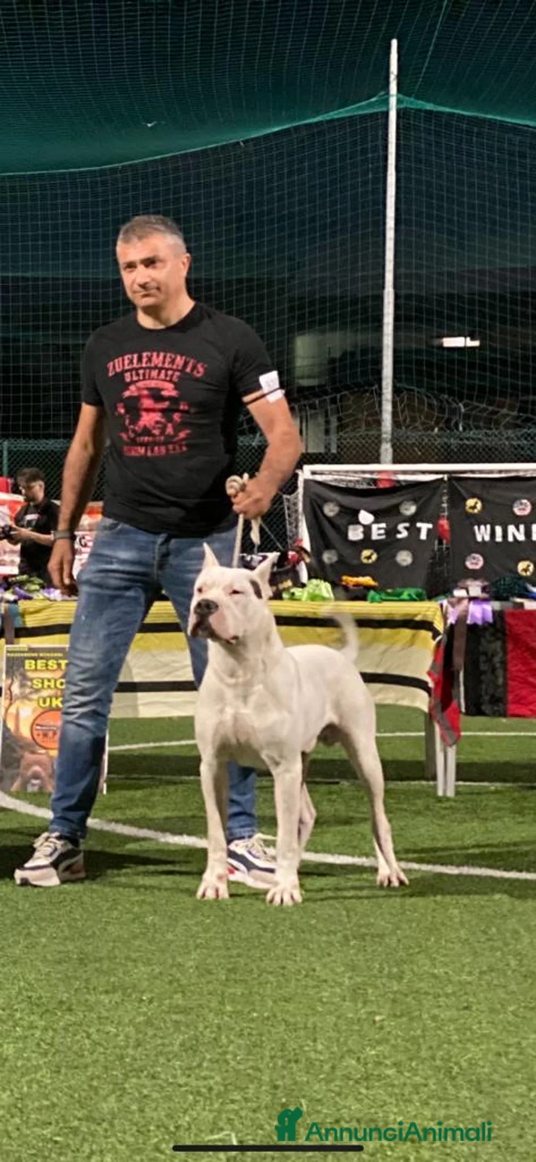 Immagine della galleria {{count}}