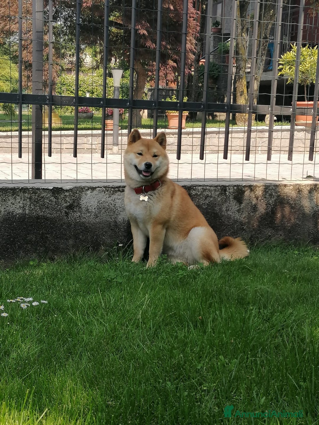 Immagine della galleria {{count}}