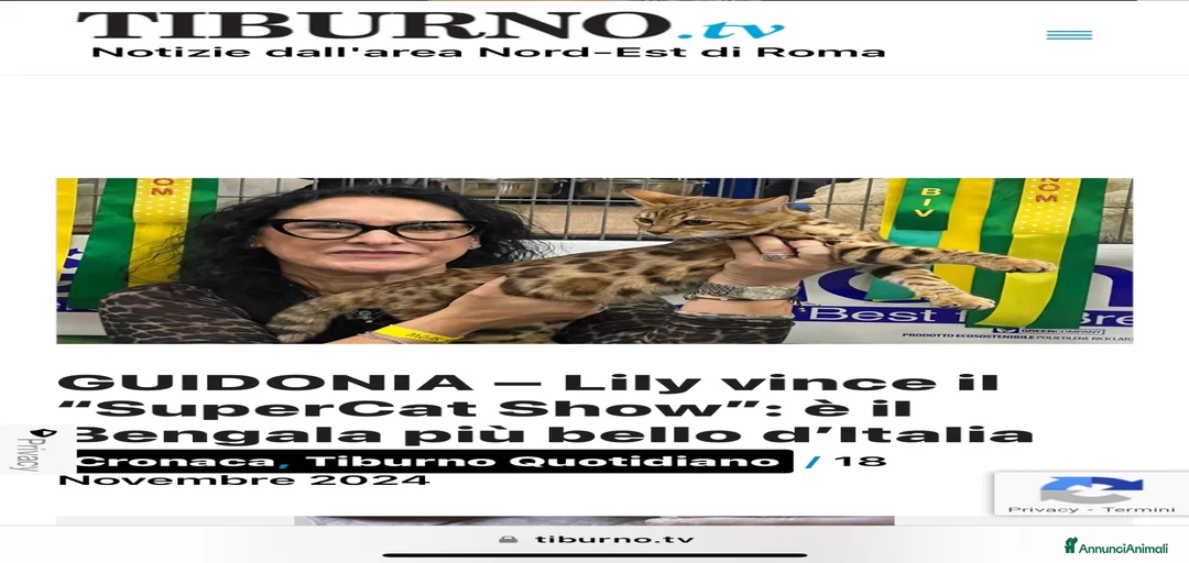 Immagine della galleria {{count}}