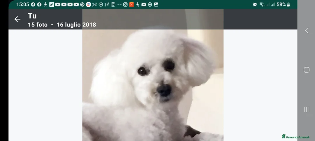 Immagine della galleria {{count}}