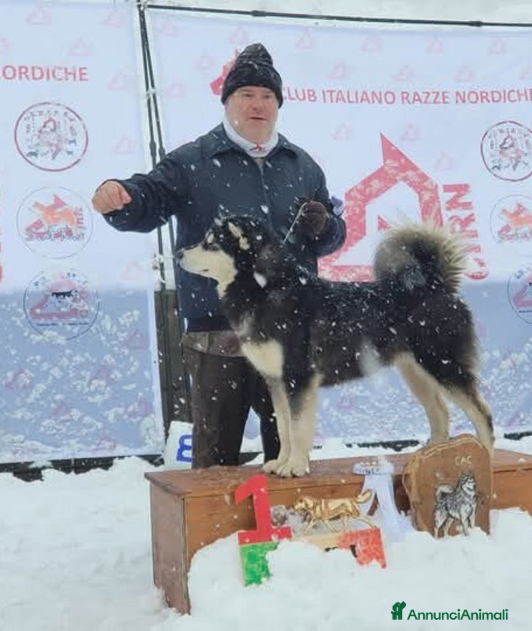 Immagine della galleria {{count}}