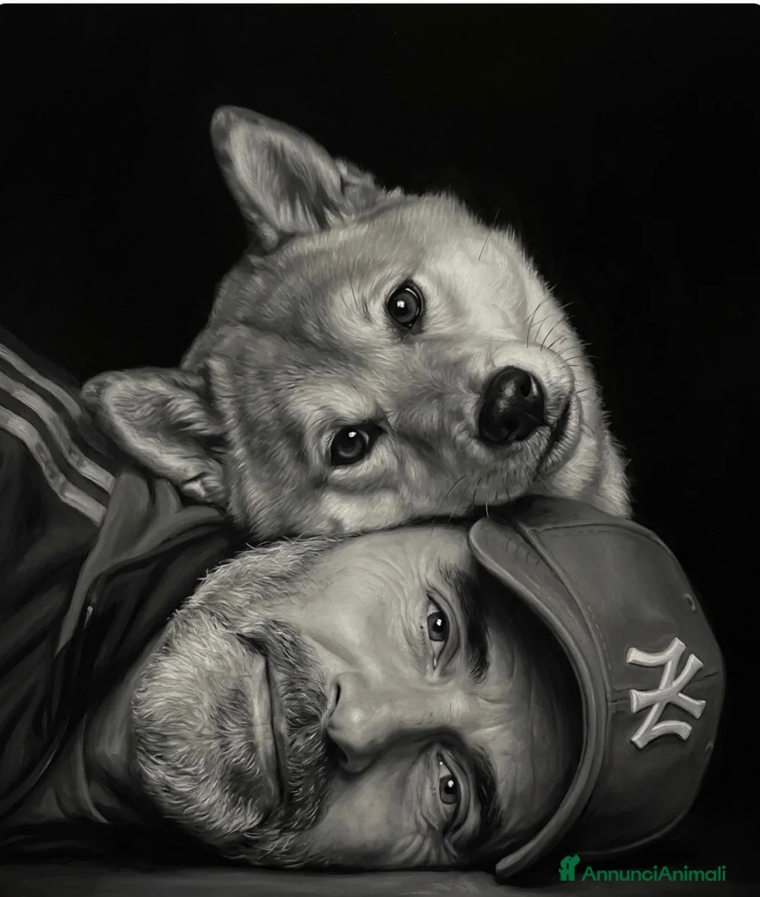 Shiba Inu cani per accoppiamento: Cerco femmina x monta a Città Metropolitana di Napoli - Annuncio 1