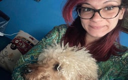 Barboncino cani per accoppiamento: GentilCane cerca Fidanzata - Immagine 7