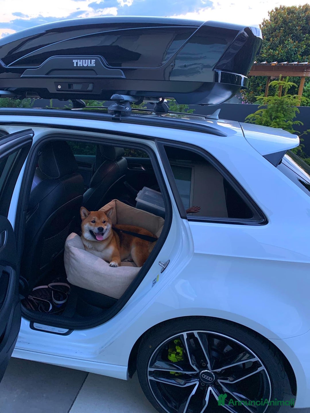 Immagine della galleria {{count}}