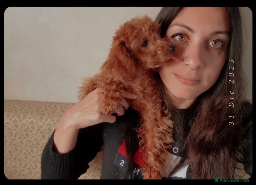 Immagine della galleria {{count}}