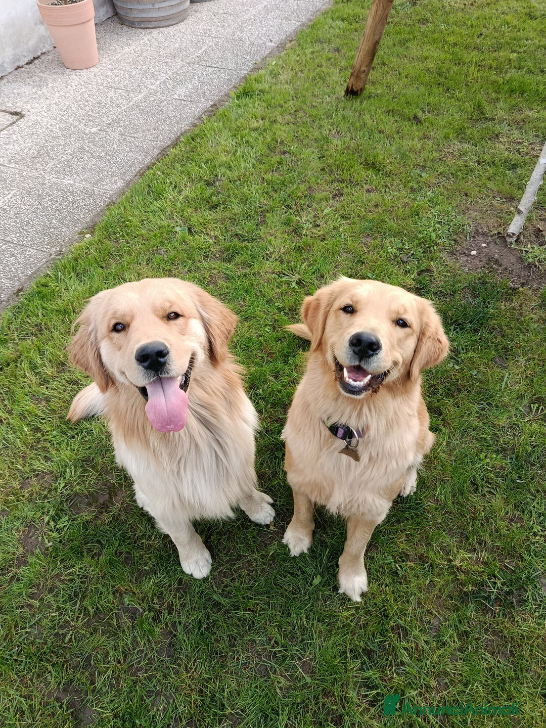 Immagine della galleria {{count}}