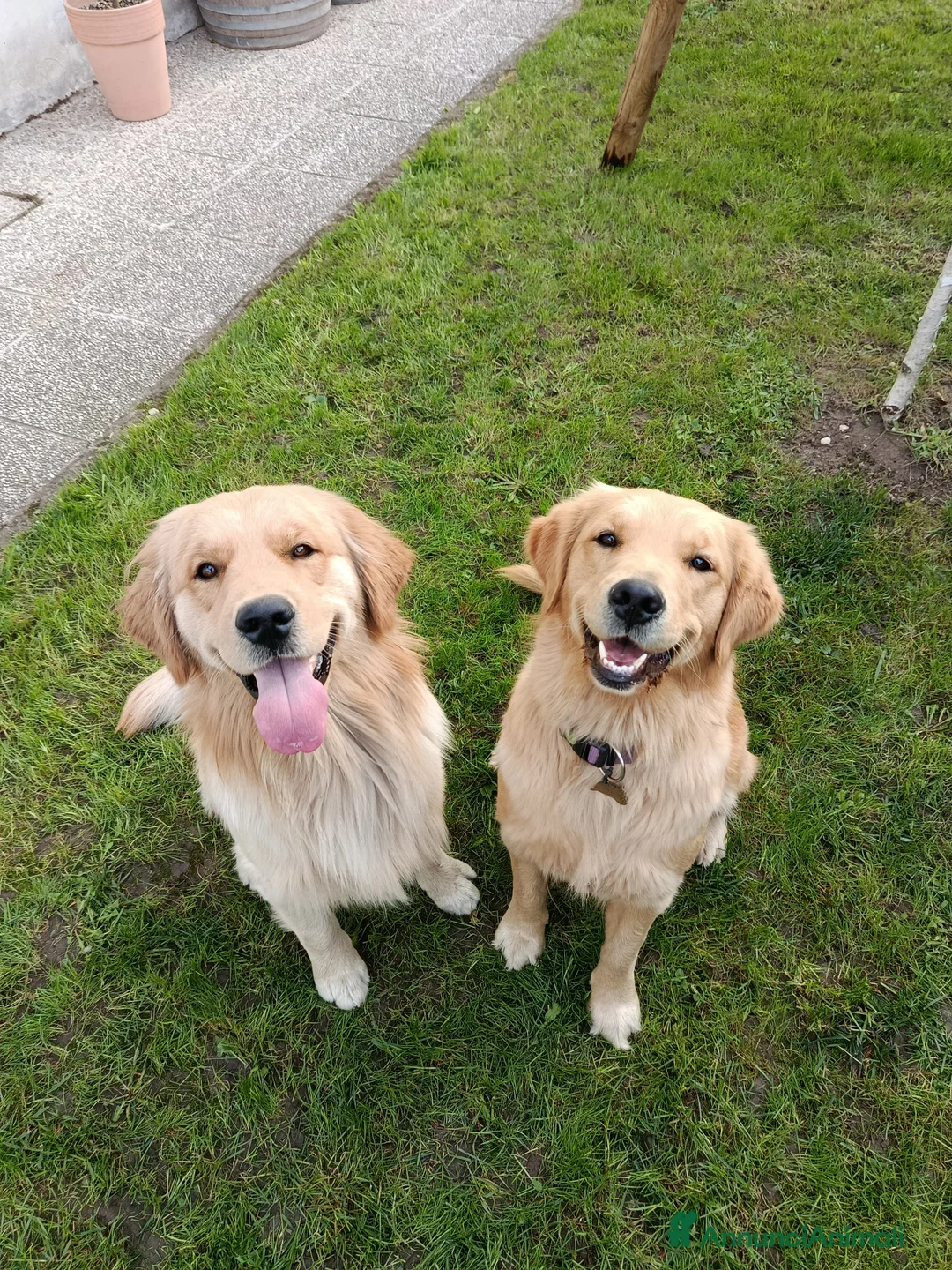 Immagine della galleria {{count}}