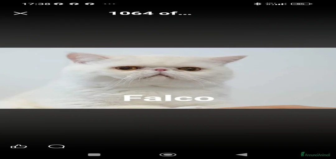 Immagine della galleria {{count}}