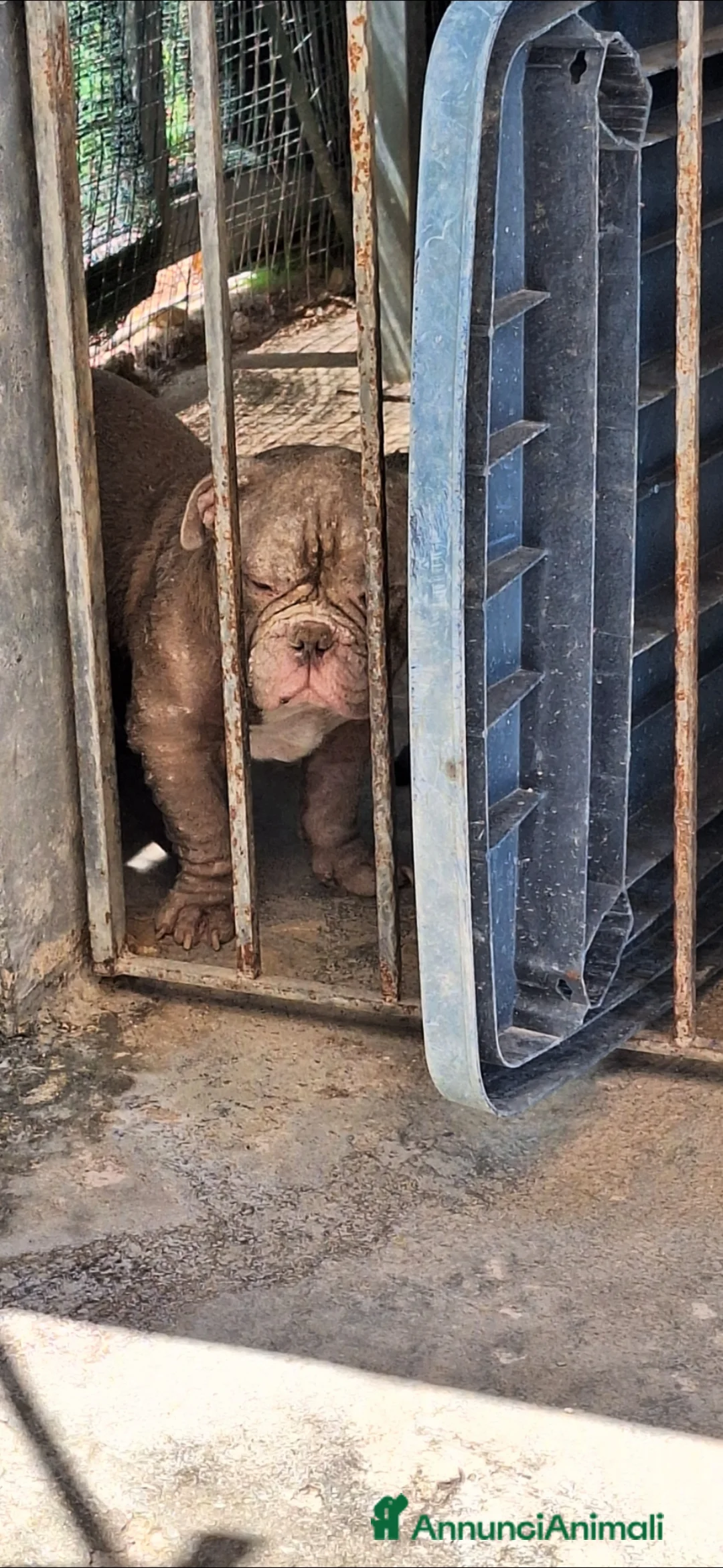 Immagine della galleria {{count}}