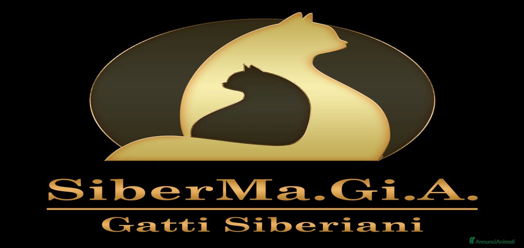 Immagine della galleria {{count}}